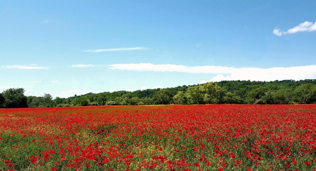 Provence Luberon Goult Gite Mafasuza Dış mekan fotoğraf